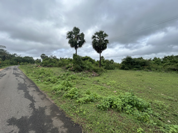  Agricultural Land for Sale in Kinathukadavu, Coimbatore