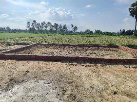  Commercial Land for Sale in Alambagh, Lucknow