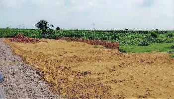  Agricultural Land for Sale in Bilaspur, Gurgaon