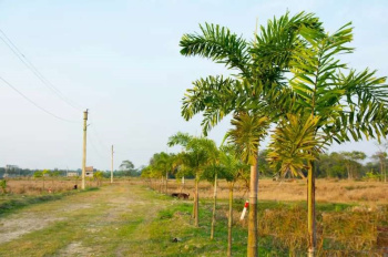 Residential Plot for Sale in Joka, Kolkata