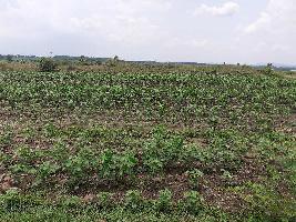  Agricultural Land for Sale in Bellampalle, Mancherial