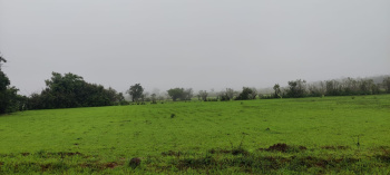  Agricultural Land for Sale in Sawantwadi, Sindhudurg