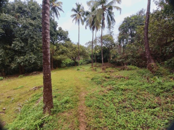  Residential Plot for Sale in Sawantwadi, Sindhudurg