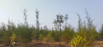 2 BHK Farm House for Sale in Yacharam Mandal, Hyderabad