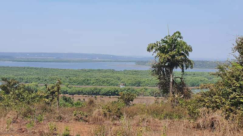 Residential Plot 31000 Sq. Meter for Sale in Corcalim, Goa