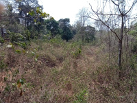  Residential Plot for Sale in Saligao, Goa