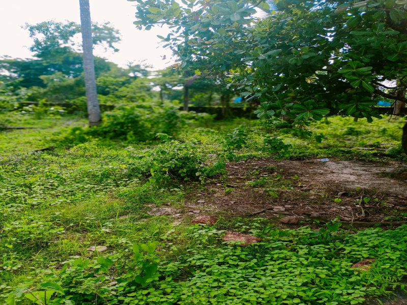  Residential Plot 3300 Sq. Meter for Sale in Salvador Do Mundo, Bardez, Goa