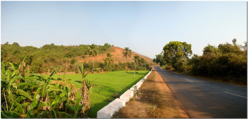  Residential Plot 3300 Sq. Meter for Sale in Salvador Do Mundo, Bardez, Goa