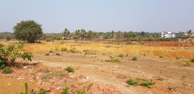  Residential Plot 250 Sq. Meter for Sale in Navelim, Margao, Goa