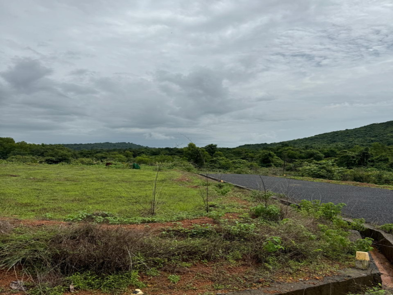  Residential Plot 500 Sq. Meter for Sale in Pernem, Goa