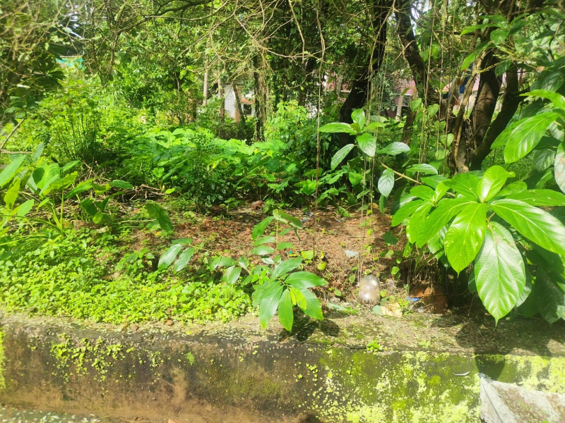  Residential Plot 680 Sq. Meter for Sale in Penha-de-Franca, Goa