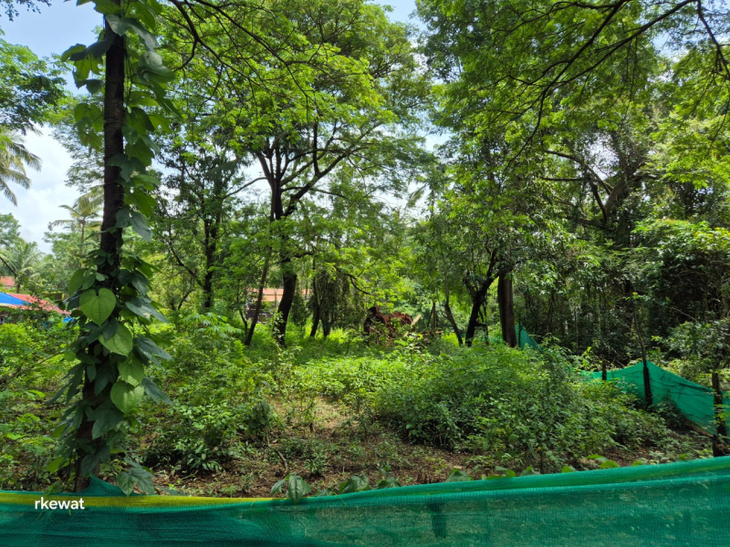  Residential Plot 800 Sq. Meter for Sale in Benaulim, Goa