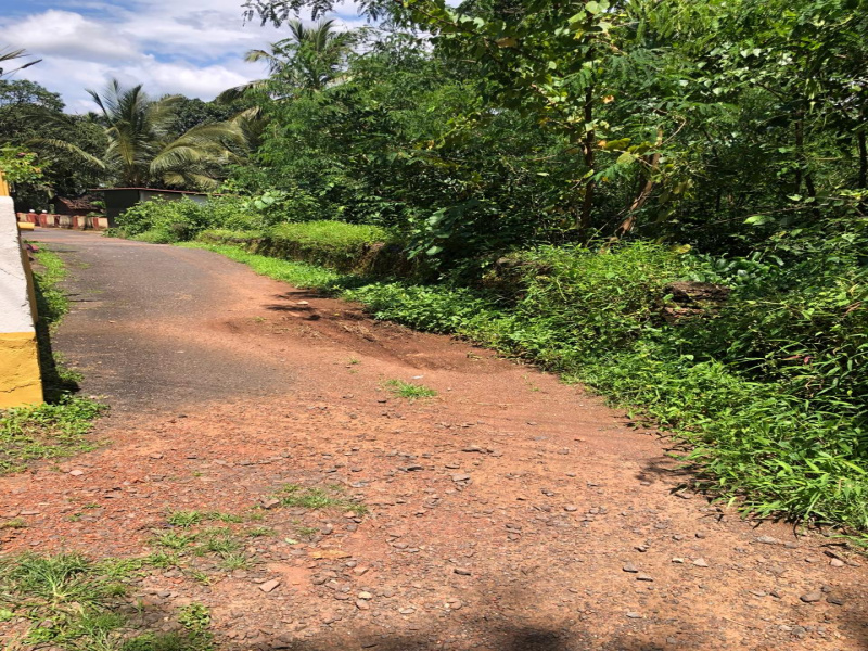  Residential Plot 1500 Sq. Meter for Sale in Aldona, Goa