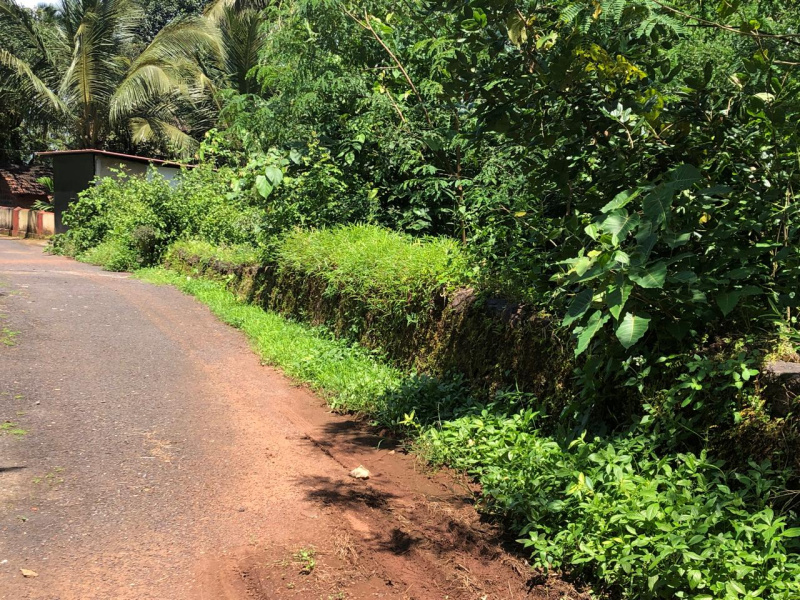  Residential Plot 1500 Sq. Meter for Sale in Aldona, Goa