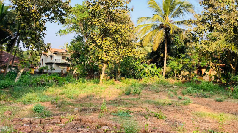  Residential Plot 340 Sq. Meter for Sale in Davorlim, Goa