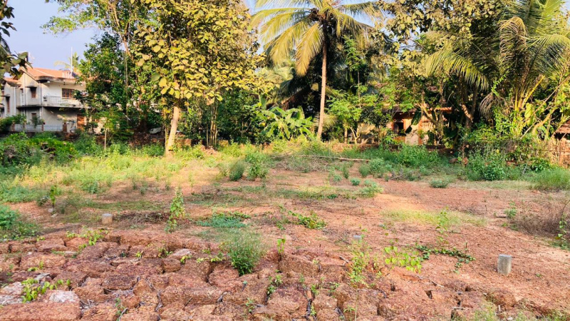  Residential Plot 340 Sq. Meter for Sale in Davorlim, Goa