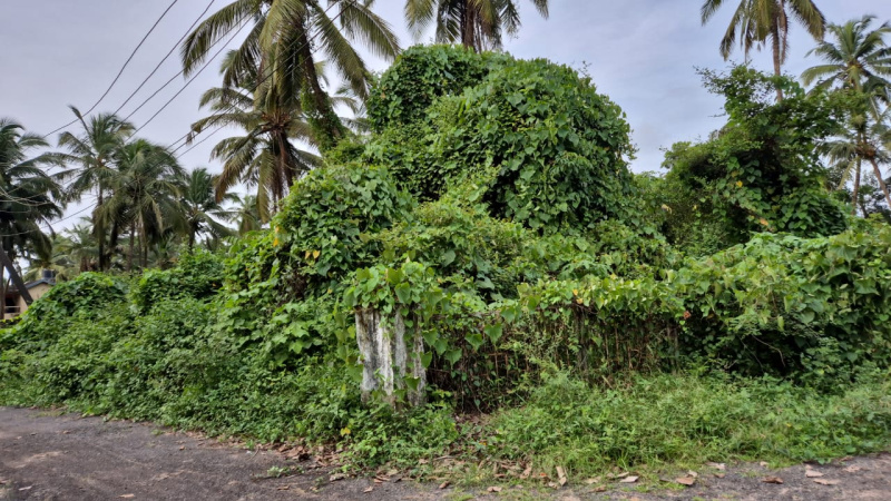  Residential Plot 300 Sq. Meter for Sale in Siolim, Bardez, Goa