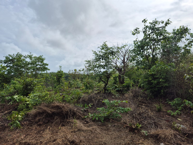  Residential Plot 300 Sq. Meter for Sale in Salvador Do Mundo, Bardez, Goa