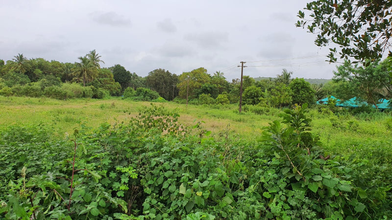  Residential Plot 3200 Sq. Meter for Sale in Saligao, Goa