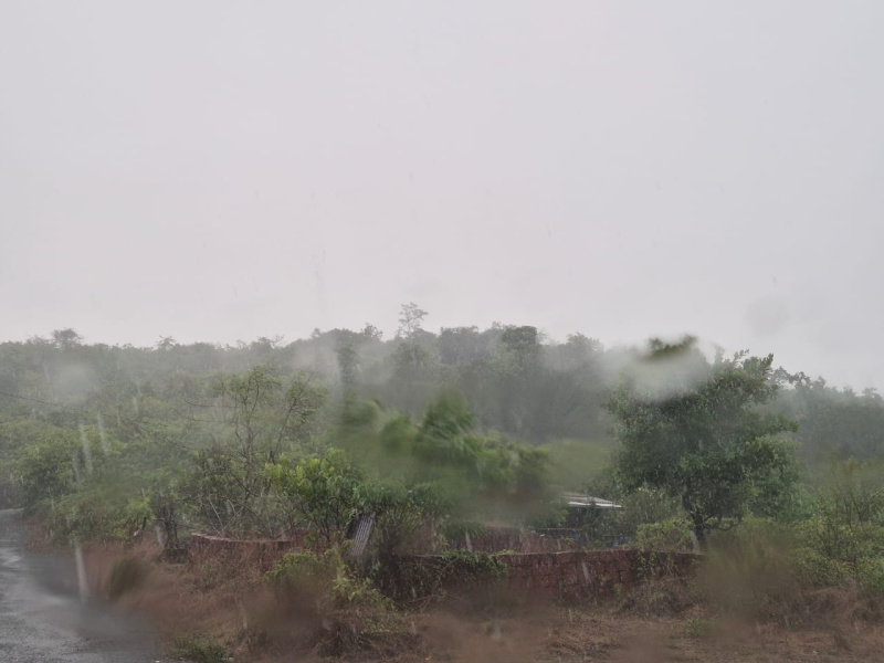  Residential Plot 1000 Sq. Meter for Sale in Nuvem, South Goa, 