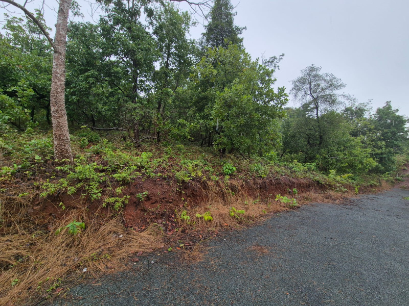  Residential Plot 23000 Sq. Meter for Sale in Nuvem, South Goa, 