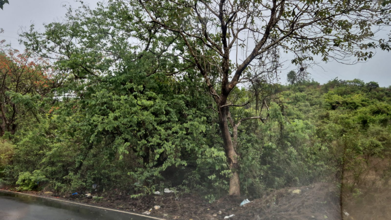  Residential Plot 23000 Sq. Meter for Sale in Nuvem, South Goa, 