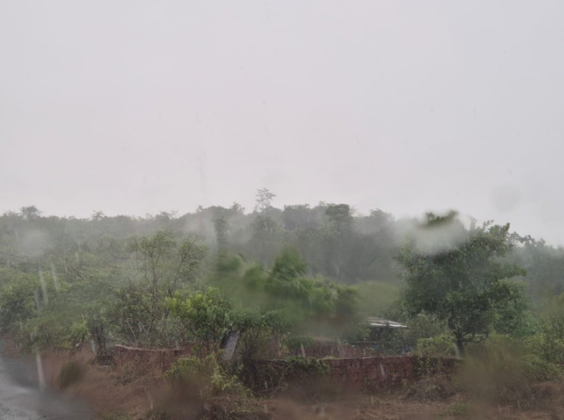  Residential Plot 1000 Sq. Meter for Sale in Cuncolim, Goa