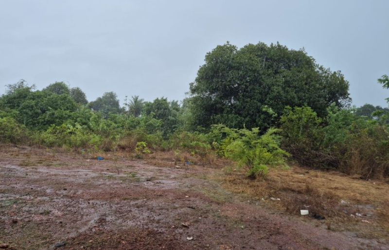  Residential Plot 1000 Sq. Meter for Sale in Cuncolim, Goa