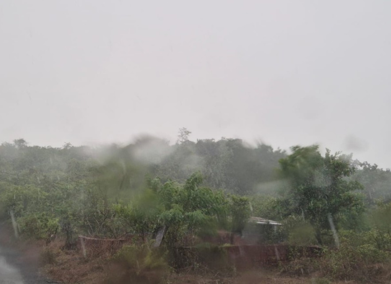  Residential Plot 1000 Sq. Meter for Sale in Cuncolim, Goa