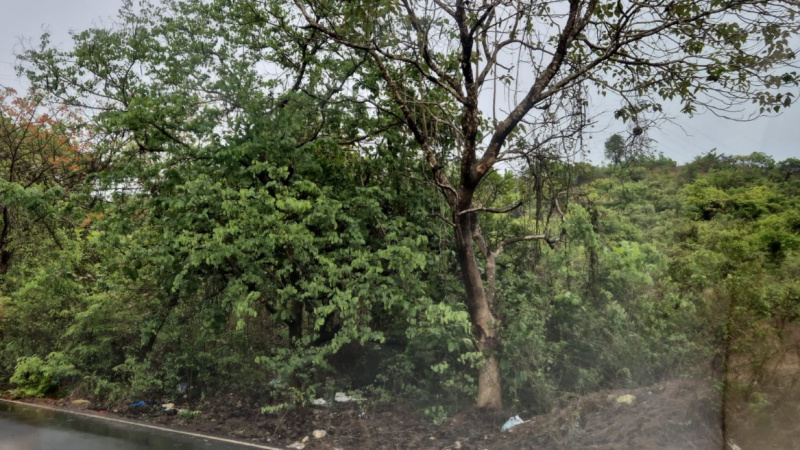  Residential Plot 23000 Sq.ft. for Sale in Cuncolim, Goa