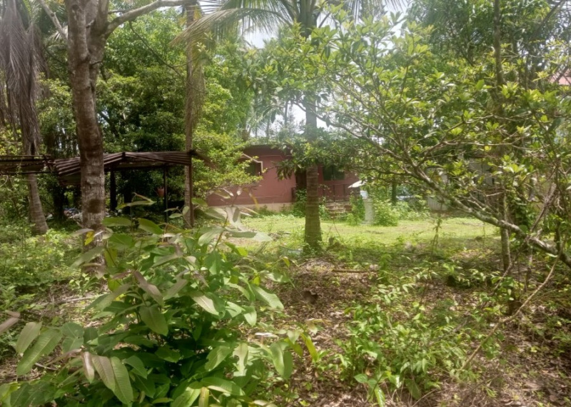  Residential Plot 1700 Sq. Meter for Sale in Quepem, South Goa, 