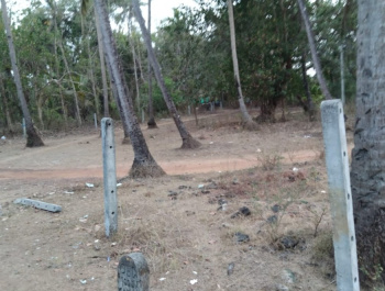  Residential Plot for Sale in Benaulim, Goa