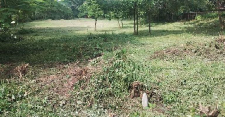  Residential Plot 4600 Sq. Meter for Sale in Ucassaim, North Goa, 