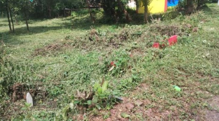  Residential Plot 4600 Sq. Meter for Sale in Ucassaim, North Goa, 