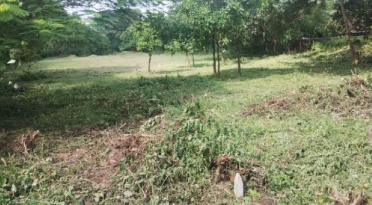  Residential Plot 4600 Sq. Meter for Sale in Ucassaim, North Goa, 