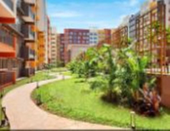 2 BHK Flat for Sale in Sancoale, Goa