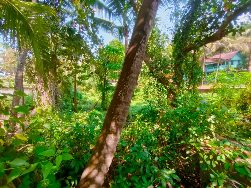  610 Sq. Meter Residential Plot for Sale in Agonda, South Goa