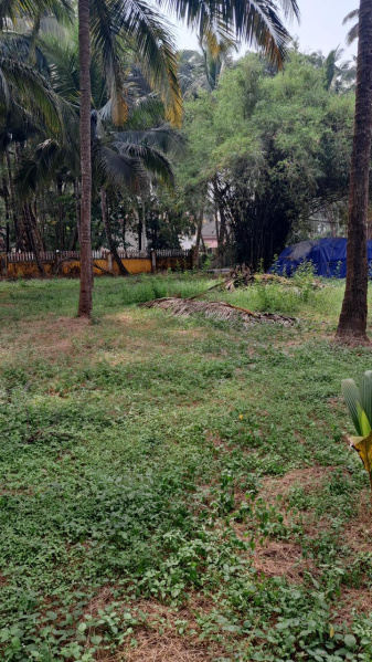  610 Sq. Meter Residential Plot for Sale in Agonda, South Goa