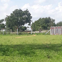  Agricultural Land for Sale in Pargi, Vikarabad