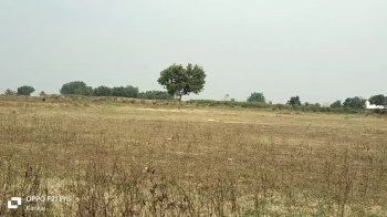  Agricultural Land for Sale in Domalguda, Hyderabad