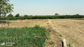  Agricultural Land for Sale in Gachibowli, Hyderabad