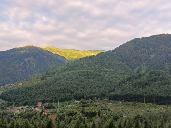  Studio Apartment for Rent in Aleo, Manali