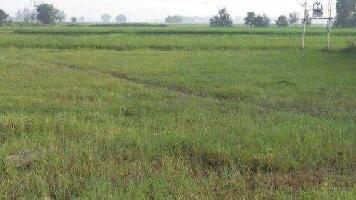  Commercial Land for Sale in Jankia, Khordha