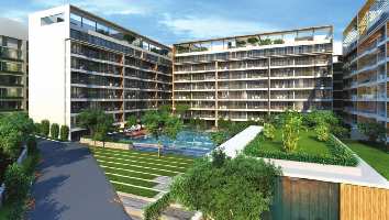 1 BHK Flat for Sale in Sahastradhara