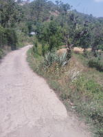  Commercial Land for Sale in Chail, Solan