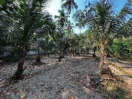  Residential Plot for Sale in Kunnamkulam, Thrissur