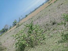 Agricultural Land for Sale in Tirumakudal Narsipur, Mysore