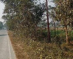  Commercial Land for Sale in Palhani Block, Azamgarh