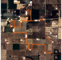  Agricultural Land for Sale in Shahzadpur, Ambala