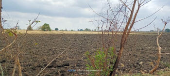  Agricultural Land for Sale in Ichhawar, Sehore
